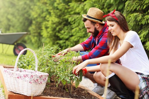 Landscaping Camberwell website cookie policy introduction