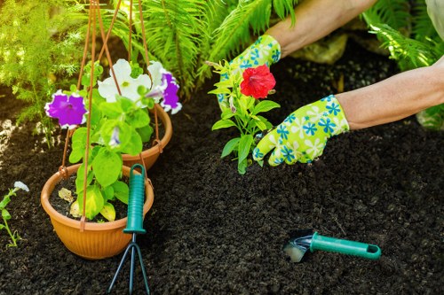 Inspection of tools and equipment used in landscaping operations