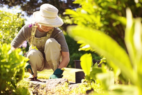 Customer complaint review for a landscaping project