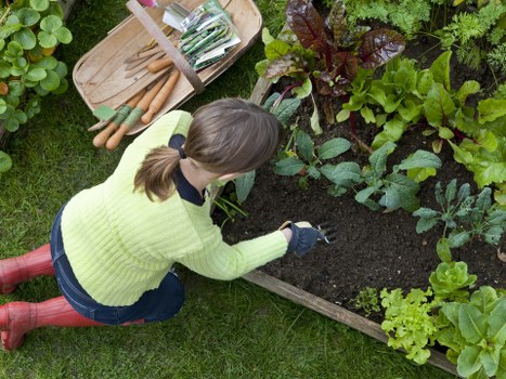 Governing law section for UK landscaping service terms and conditions