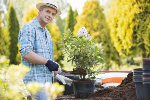 Transparent landscaping pricing and quotes for Camberwell homes